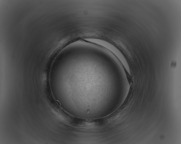 X0000096640260200802121117