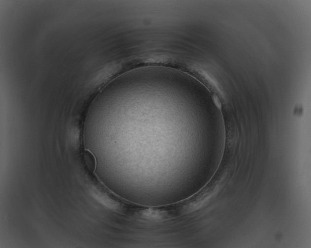 X0000096640261200802121117