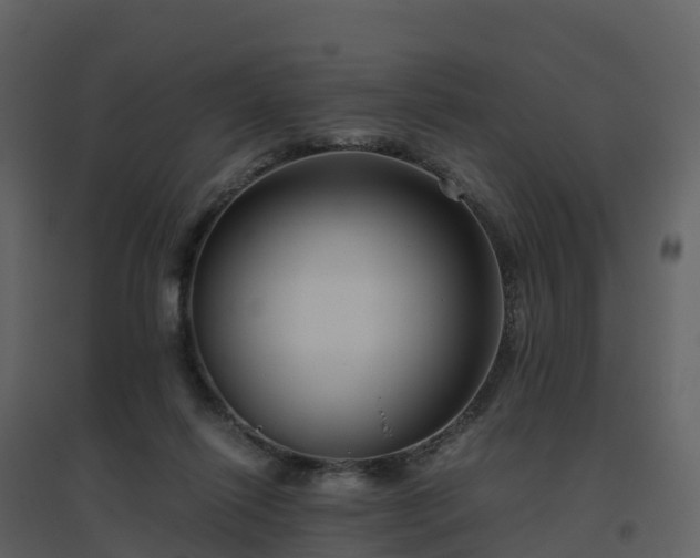 X0000096640262200802121117