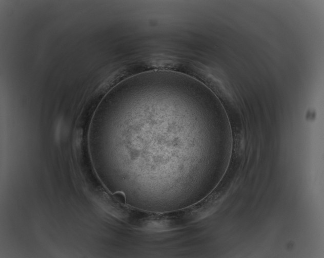 X0000096640263200802121117