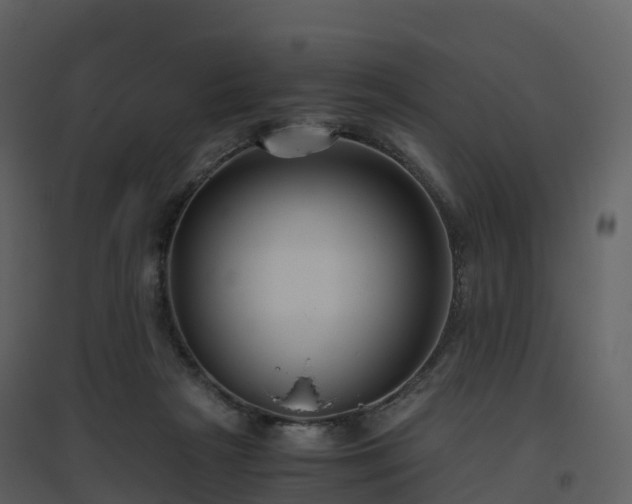 X0000096640265200802121117