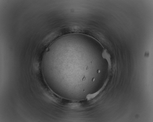 X0000096640266200802121117