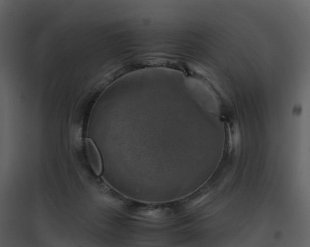X0000096640267200802121117