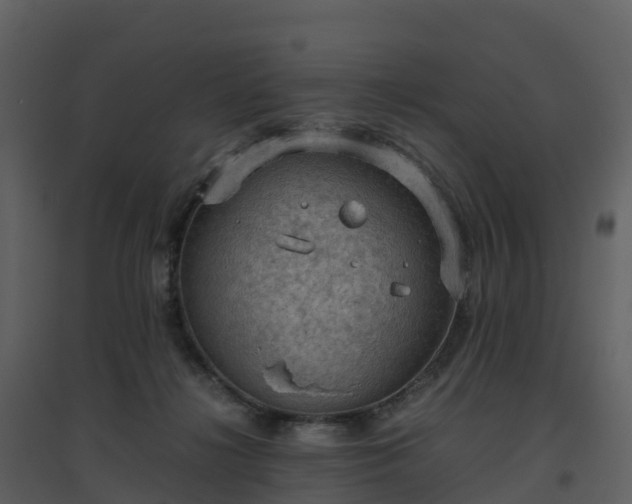 X0000096640268200802121117