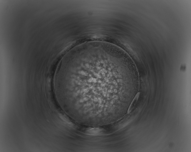 X0000096640269200802121117