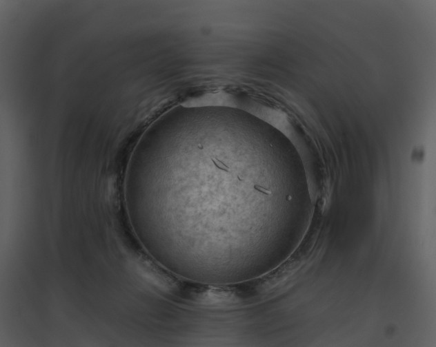 X0000096640270200802121117