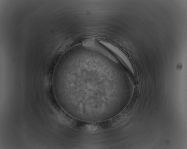 X0000096640272200802121117