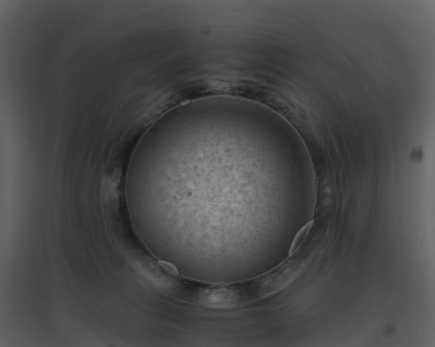 X0000096640275200802121117