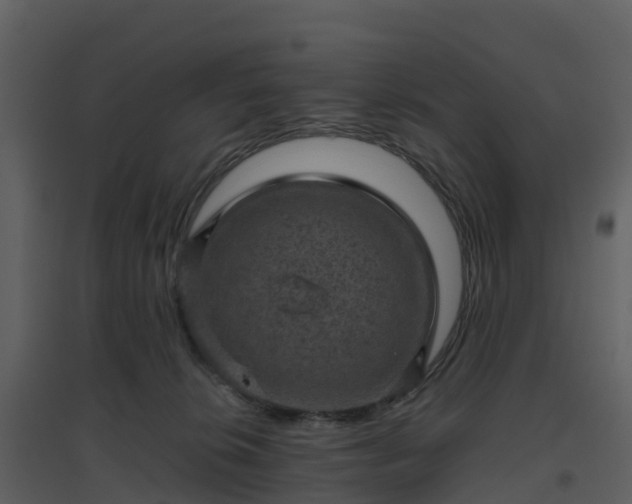 X0000096640276200802121117