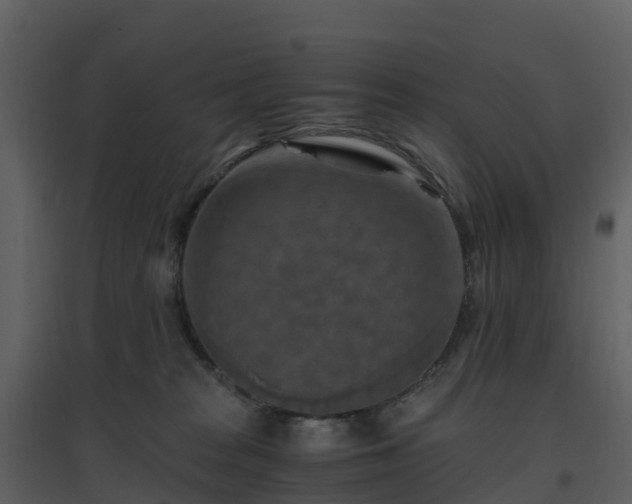 X0000096640277200802121117