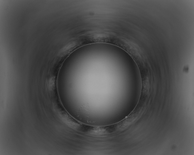 X0000096640278200802121117