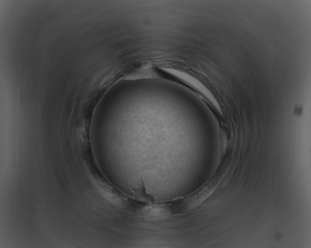 X0000096640280200802121117