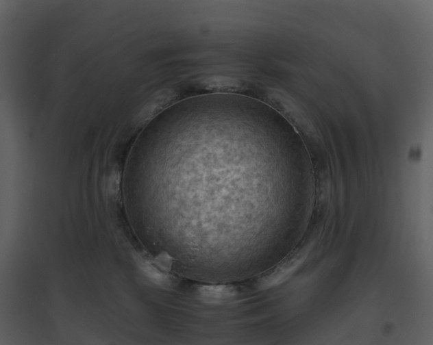 X0000096640281200802121117