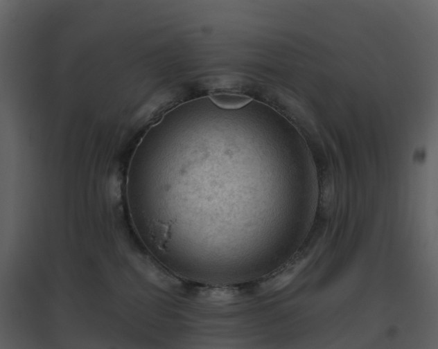 X0000096640282200802121117