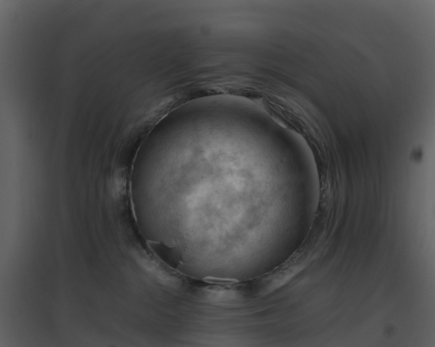 X0000096640284200802121117