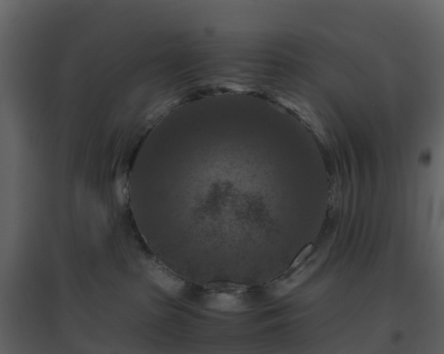 X0000096640285200802121117