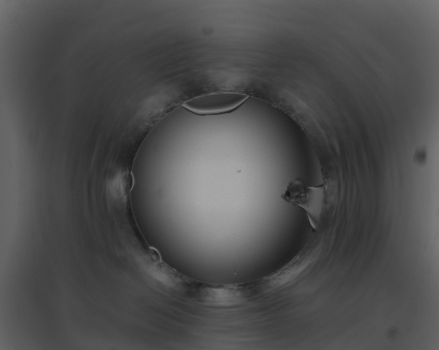 X0000096640286200802121117