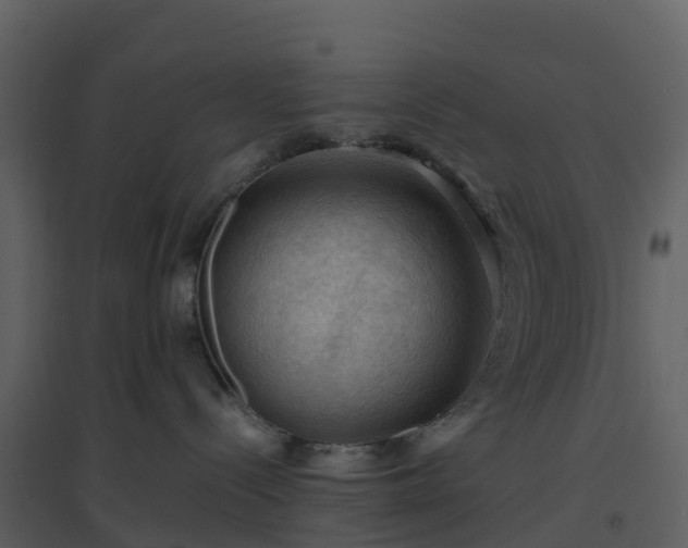 X0000096640288200802121117
