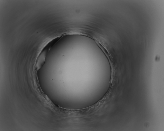 X0000096640289200802121116