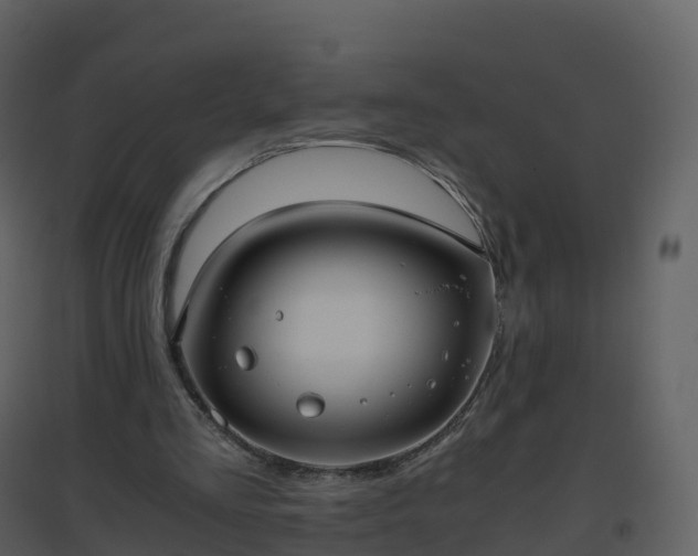 X0000096640293200802121116