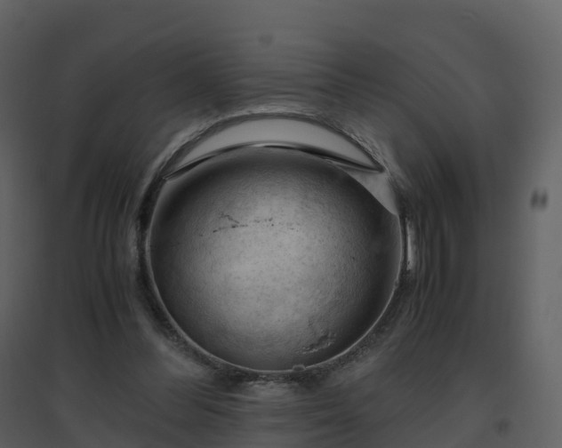 X0000096640300200802121116