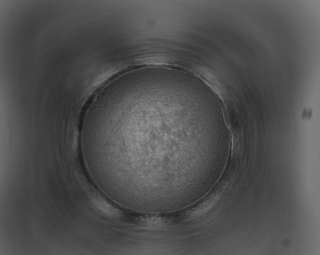 X0000096640301200802121116