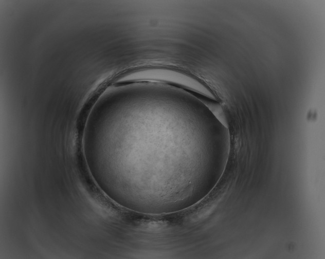 X0000096640304200802121116