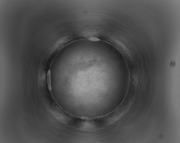 X0000096640308200802121116