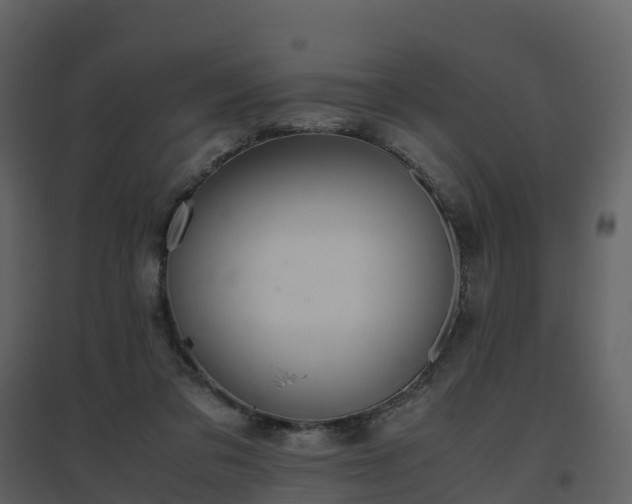 X0000096640309200802121116