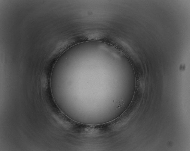 X0000096640311200802121116