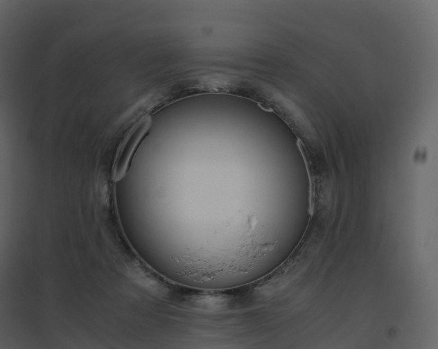 X0000096640313200802121116
