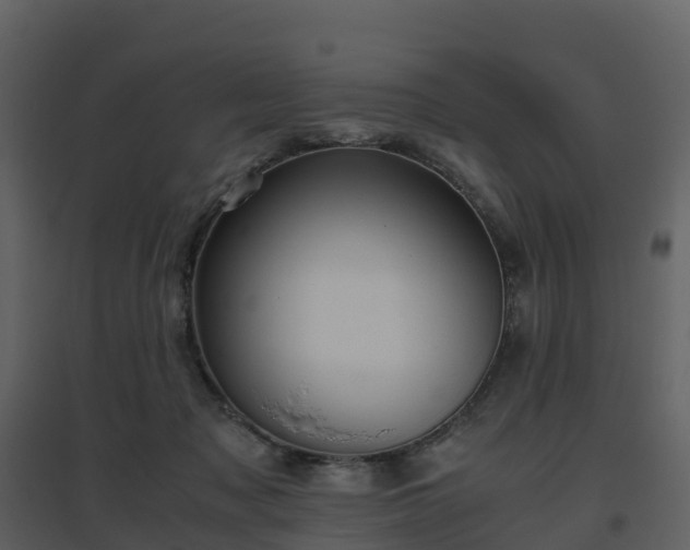 X0000096640317200802121116