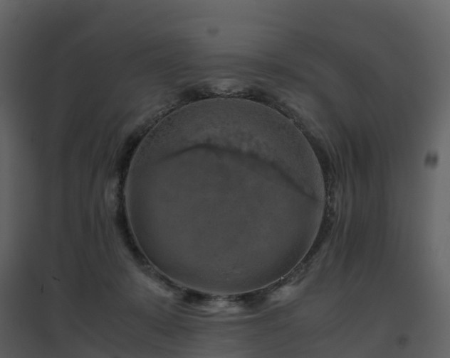X0000096640319200802121116