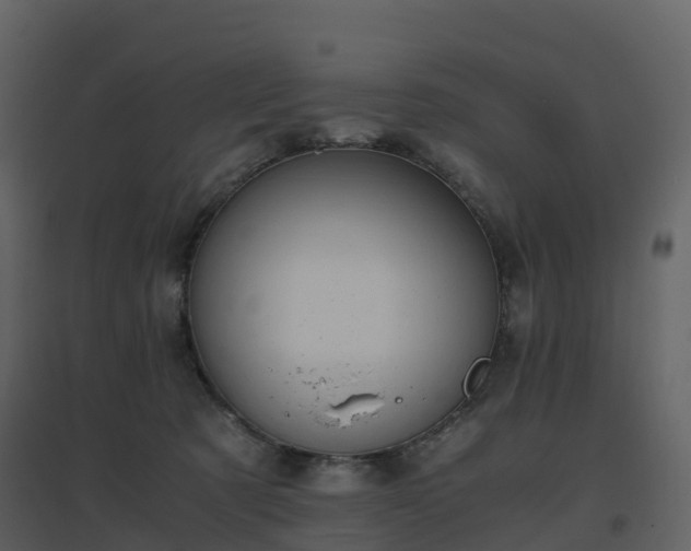X0000096640321200802121116