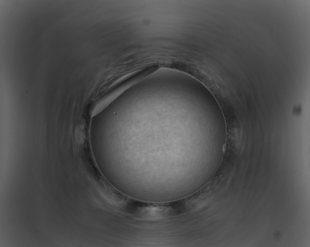 X0000096640323200802121116