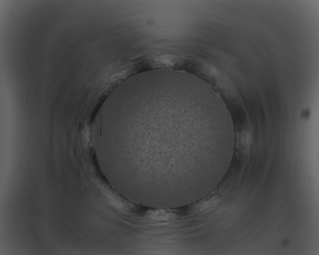 X0000096640331200802121116