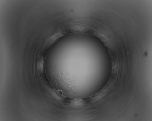 X0000096640334200802121116
