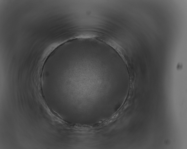 X0000096640337200802121115