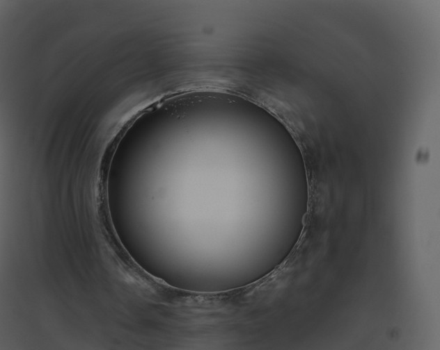 X0000096640338200802121115