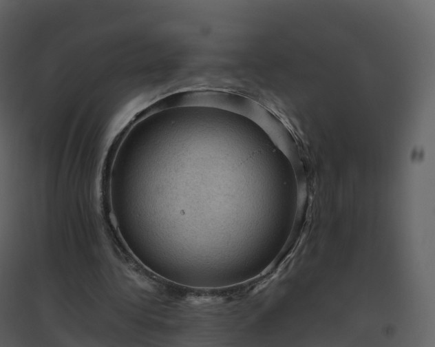 X0000096640340200802121115
