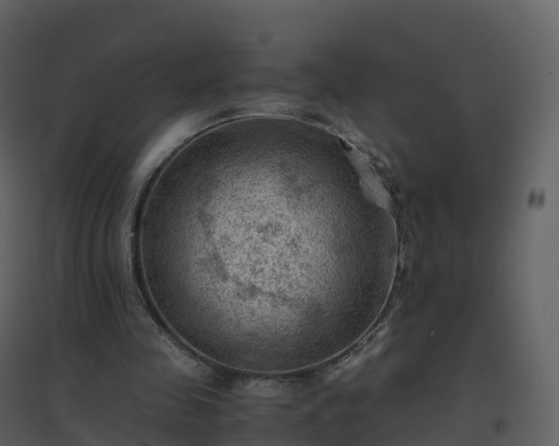 X0000096640341200802121115