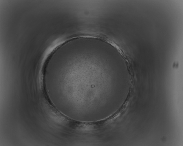 X0000096640343200802121115