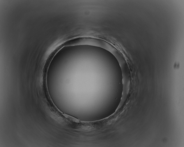 X0000096640344200802121115