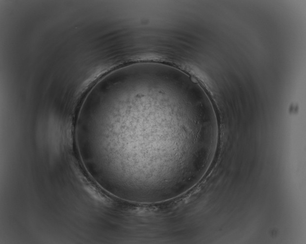 X0000096640345200802121115