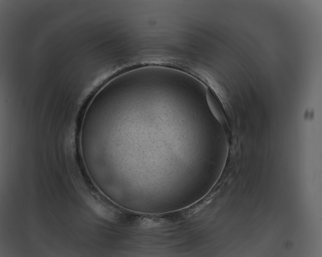 X0000096640346200802121115