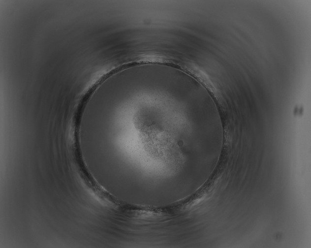 X0000096640347200802121115