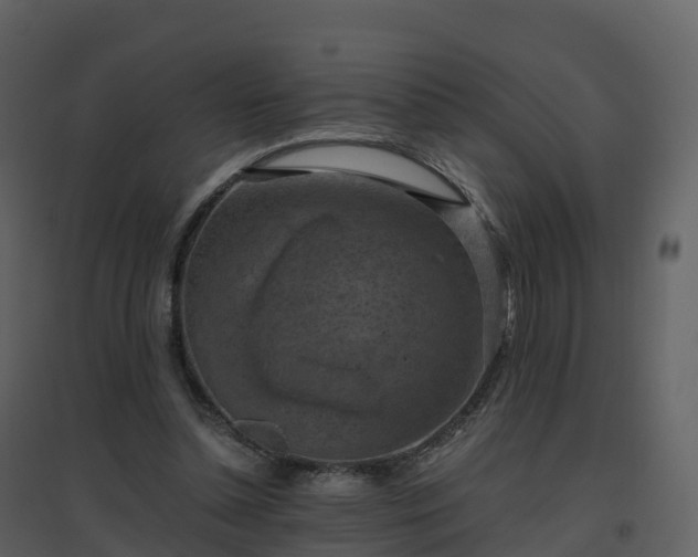 X0000096640348200802121115