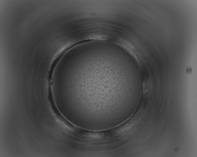 X0000096640349200802121115