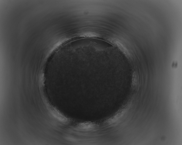 X0000096640351200802121115