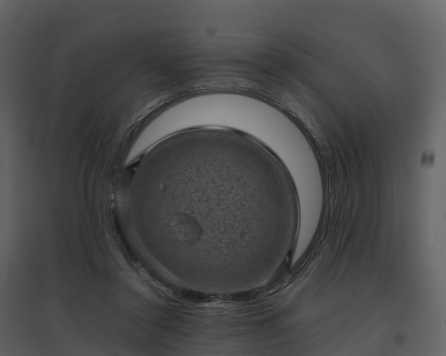 X0000096640356200802121115